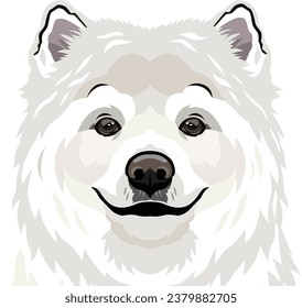 
Samoyed Dog Face isolated vector illustration
