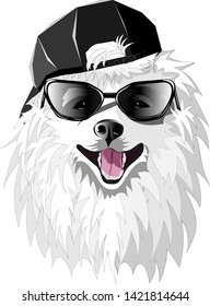 Samoyed dog with glasses and a baseball cap.
