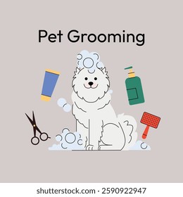 Samoyed dog grooming. A fluffy white dog sits surrounded by grooming tools like scissors, shampoo, and a hairdryer. Clean and modern design, ideal for pet care services. Vector illustration