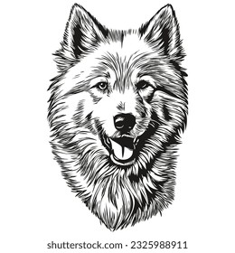 Samoyed dog isolated drawing on white background, head pet line illustration realistic breed pet