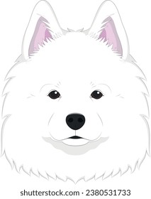 Samoyed dog isolated on white background vector illustration