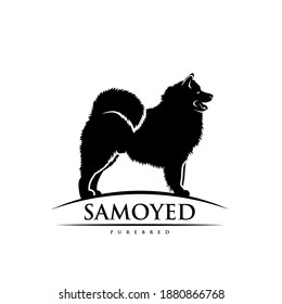 Samoyed dog - isolated vector illustration