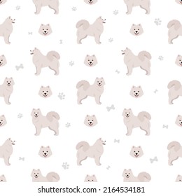 Motif harmonieux de chien samoué. Des poses différentes, des couleurs de manteau.  Illustration vectorielle