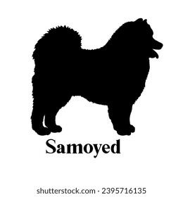 Samoyed. Silueta de perro perro raza perro mongograma cara de perro vector