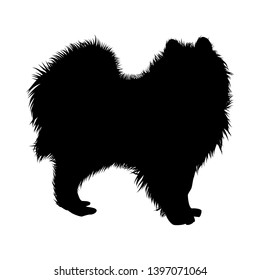 Samoyed Dog Silhouette. Smooth Vector Illustration.