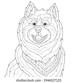 
Samoyed dog.Coloring book antistress for children and adults. Illustration isolated on white background.Zen-tangle style. Hand draw