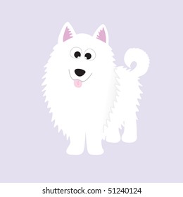 Samoyed pup, fluffy white pup