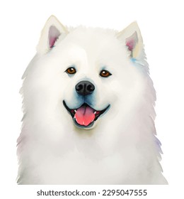 samoyed with style hand drawn watercolor digital painting illustration