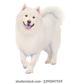 samoyed with style hand drawn watercolor digital painting illustration