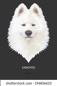 Samoyed vector polygon geometric