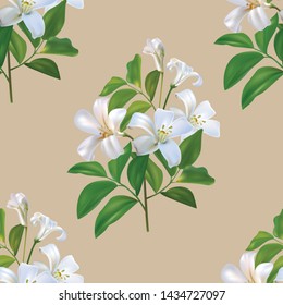  Sampaguita jusmine white flower and green leaves seamless pattern - Vector illustration