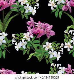  Sampaguita jusmine white flower and orchid seamless pattern - Vector illustration