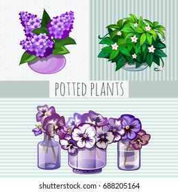 Sample design of placard with cute potted plants on striped background. Sketch of poster, postcard, cover, banner, sign shop of floristic. Template card on nature theme. Vector cartoon close-up.