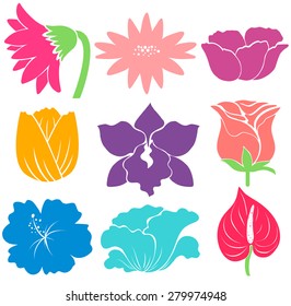 Sample of different kinds of flowers