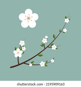 Sample Flower Spring - Vector - Floral - Flat design