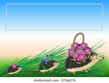 Sample - Gift