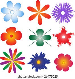 Samples of flowers