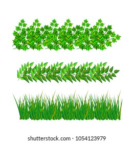samples of green leaves in vector format