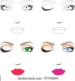 Samples Woman Face Scheme Makeup Application Stock Vector (Royalty Free ...