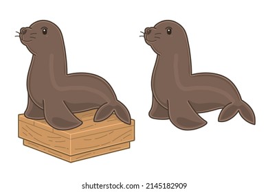 San Francisco Seals. Vector illustrations set.