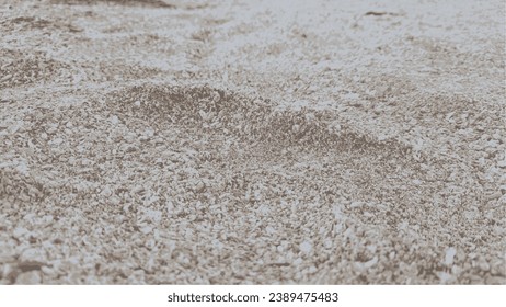 sand beach vector background wallpaper