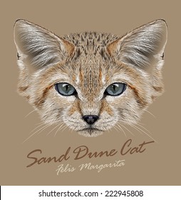 Sand cat animal face. Felis margarita. Vector African Asian cute wild sand dune kitten head portrait. Realistic fur portrait of desert kitty isolated on beige background.