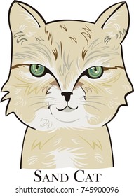 Sand cat vector illustration