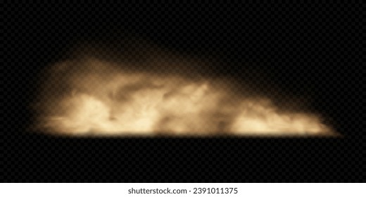 Sand cloud with dust isolated on transparent background. Desert storm, sandstorm. Brown dusty cloud or dry sand flying. Realistic vector illustration