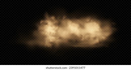 Sand cloud with dust isolated on transparent background. Desert storm, sandstorm. Brown dusty cloud or dry sand flying. Realistic vector illustration