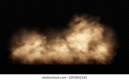 Sand cloud with dust isolated on transparent background. Desert storm, sandstorm. Brown dusty cloud or dry sand flying. Realistic vector illustration