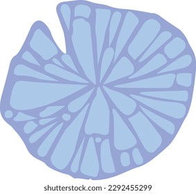 Sand dollar fossil vector illustration for decoration on marine life and coastal style.