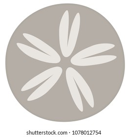 Sand Dollar Logo Design.  Transparent Background In Vector File.