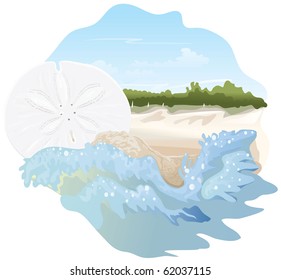 Sand dollar on beach spot illustration