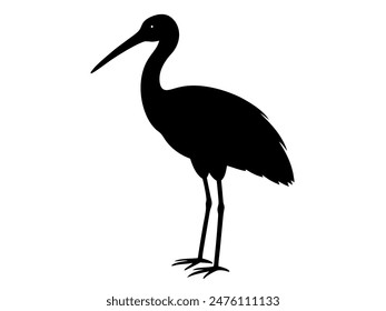Sand hill crane bird vector