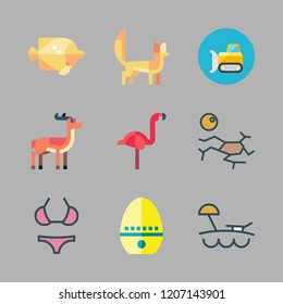 sand icon set. vector set about antelope, beach, flamingo and fennec icons set.
