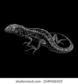 sand lizard hand drawing vector isolated on black background.