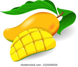 Sand Mango wird in der Gegend von Hoa Loc angebaut, eine sehr köstliche Frucht von Vietnam