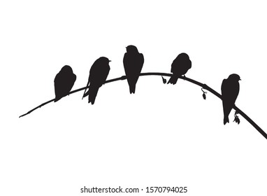 Sand martins (Riparia riparia) sits on the branch. Vector silhouette of birds.