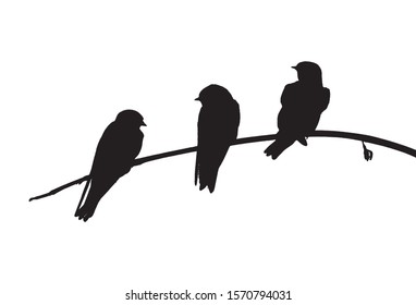 Sand martins (Riparia riparia) sits on the branch. Vector silhouette of birds.