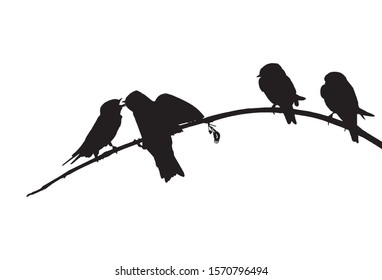 Sand martins (Riparia riparia) sits on the branch. Vector silhouette of birds.