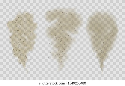 Sand smoke. Vehicle dust or desert sandstorm wind, vector sandy dry fog, dirty dangerous particles smoking