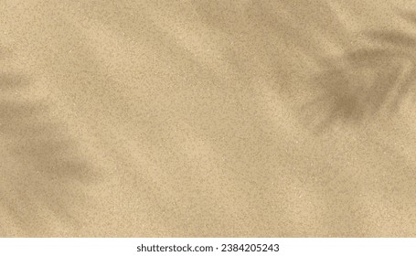 Sand texture background with palm leaves silhouette,Coconut leaf Shadow on Brown Sandy Beach,Vector top view Sand Surface,Backdrop background Wide Horizon Desert dune for Summer Product Presentation