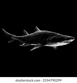 sand tiger shark hand drawing vector isolated on black background.