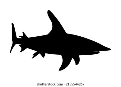 Sand tiger shark vector silhouette illustration isolated on white background. Sea predator. Danger on beach alert. Open jaws of beast.  Fear for divers and swimmers. Under water alert ocean killer.