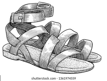 Sandal illustration, drawing, engraving, ink, line art, vector