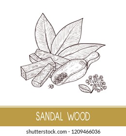 Sandal wood. Leaf, flower. Powder, bacillus, spoon. Monochrome. Sketch. On a white background.