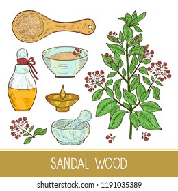 Sandal wood. Plant. A stem, leaf, flower. Powder, spoon, oil, bottle, mortar. Color. Sketch.