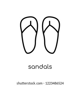 sandals icon. Trendy modern flat linear vector sandals icon on white background from thin line collection, outline vector illustration