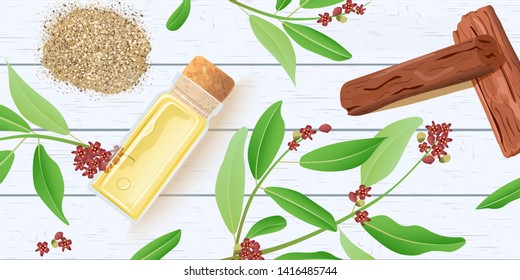 Sandalwood Essential Oil In Glass Scent Bottle With Cork On White Wooden Shabby Desk. Chandan Leaves, Sticks, Branch, Powder. Card Template Text. For Cosmetics, Medicine, Aromatherapy, Perfume, Spa