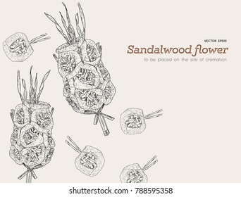 Sandalwood flowers for funeral, hand draw sketch vector.